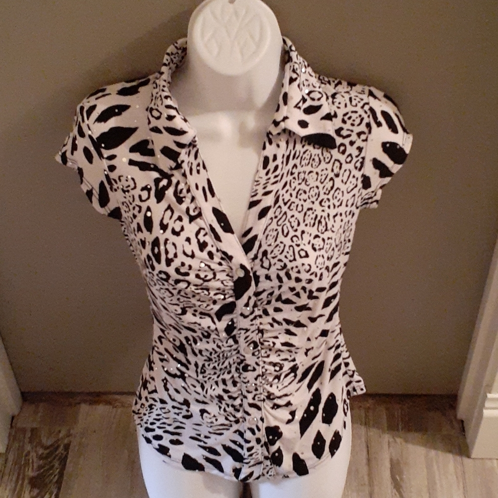 Leopard Cache Top